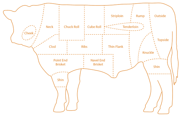 cow parts